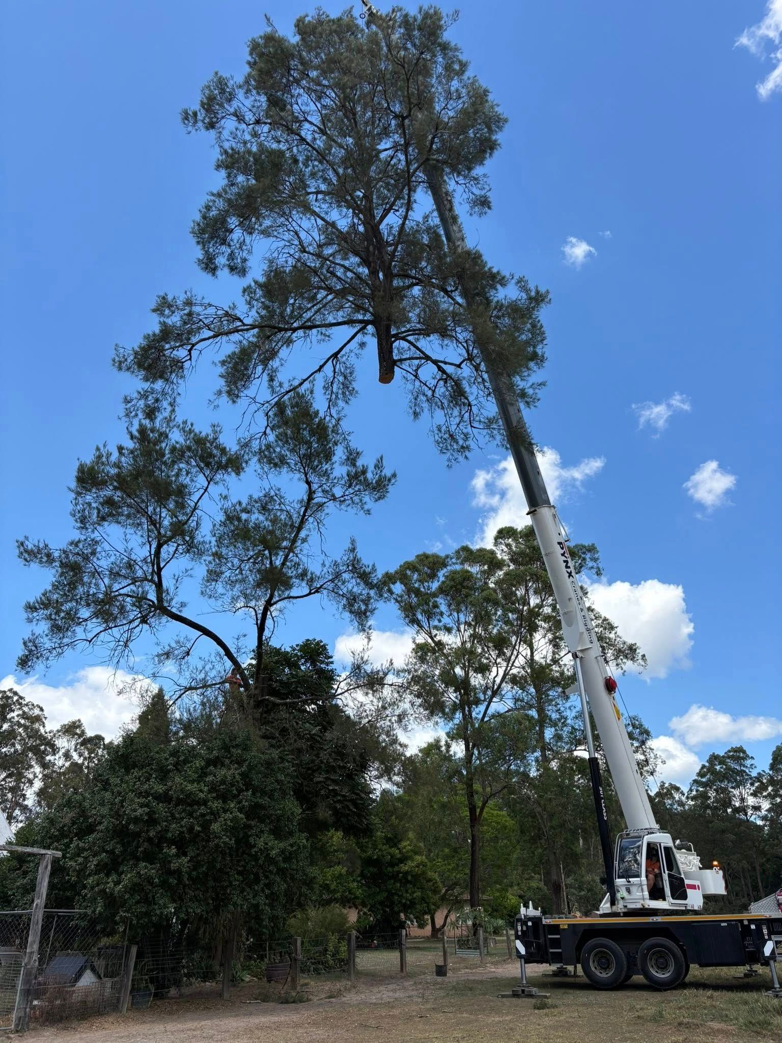 A Crane is Lifting a Tree Section — All One Arb Tree Service In Laurieton, NSW