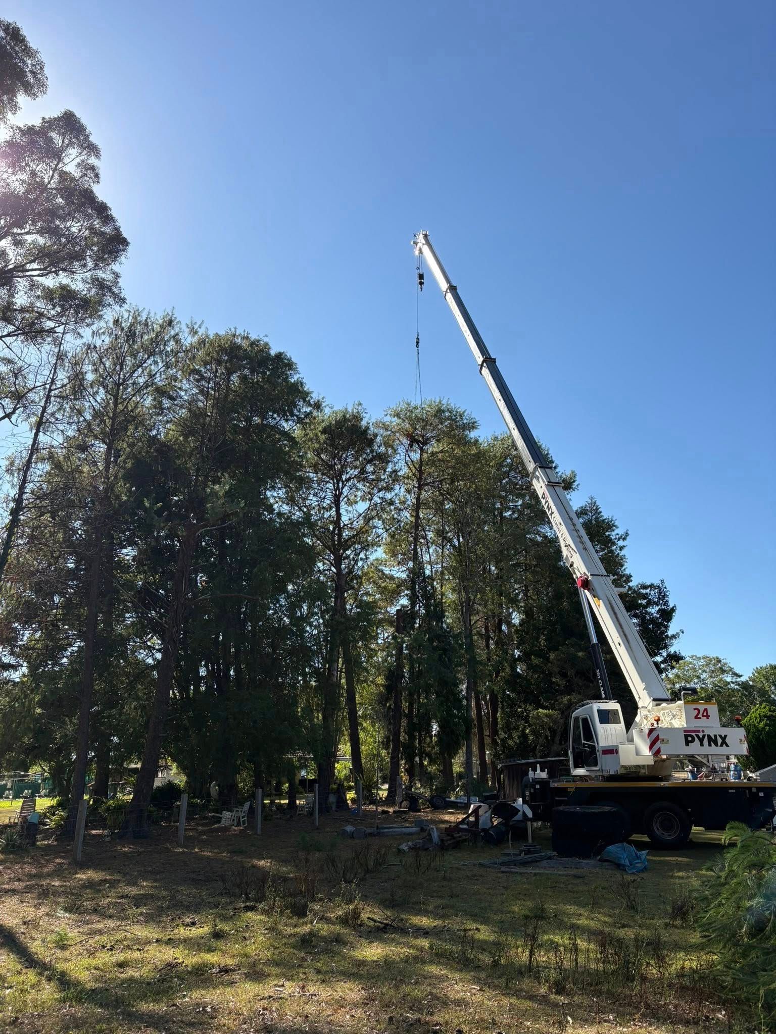 A Large Crane Next to Trees — All One Arb Tree Service In Kundabung, NSW