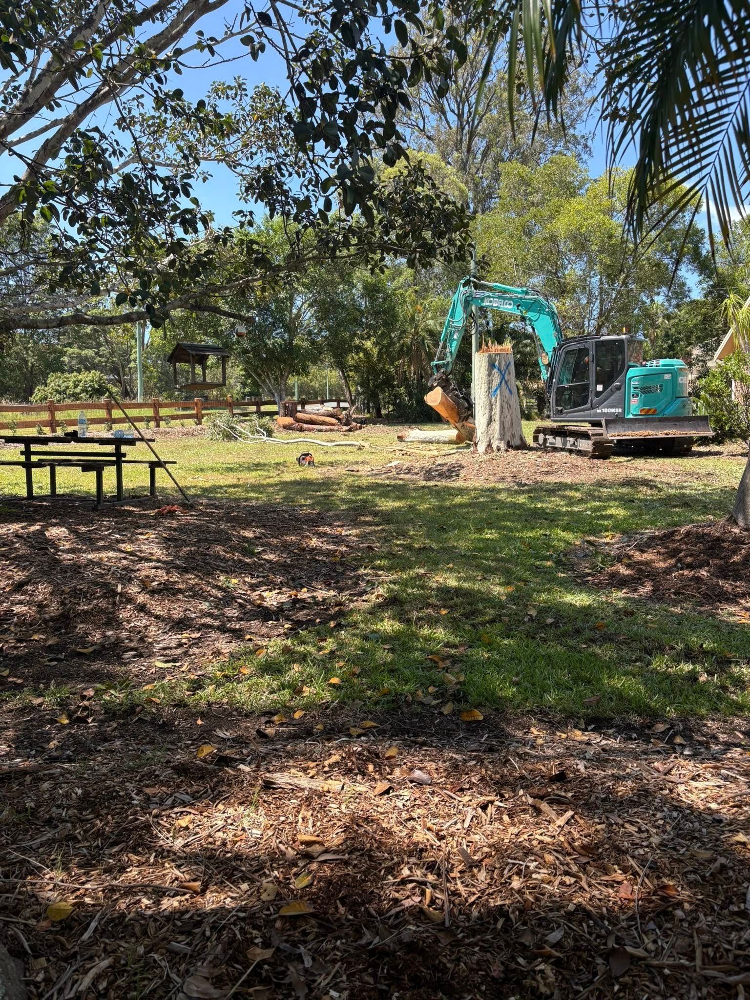 An Excavator and a Picnic Table in a Grassy Yard — All One Arb Tree Service In South West Rocks, NSW