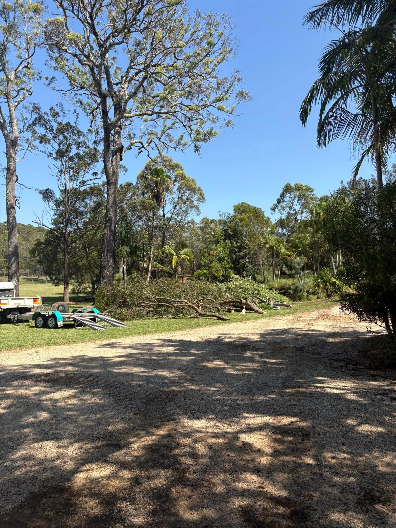Gravel Driveway Leading Toward a Wooded Area — All One Arb Tree Service In Kundabung, NSW