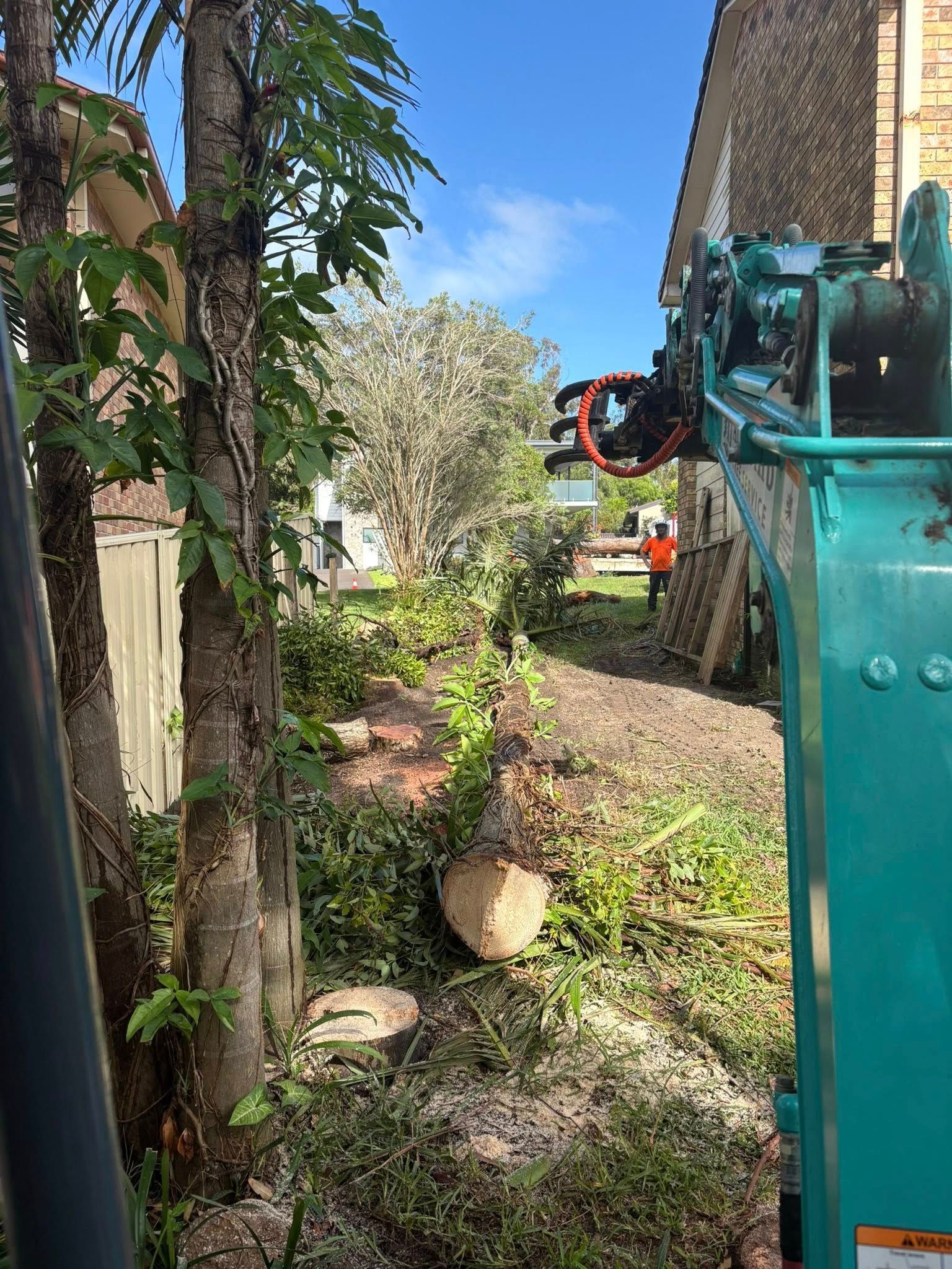 View From an Excavator in a Yard, Showing Trees — All One Arb Tree Service In Port Macquarie, NSW