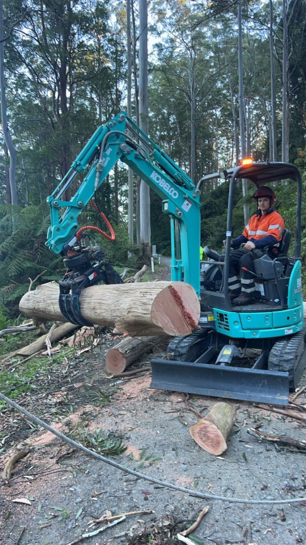 A man is driving a small excavator in the woods — All One Arb Tree Service In Bonny Hills, NSW