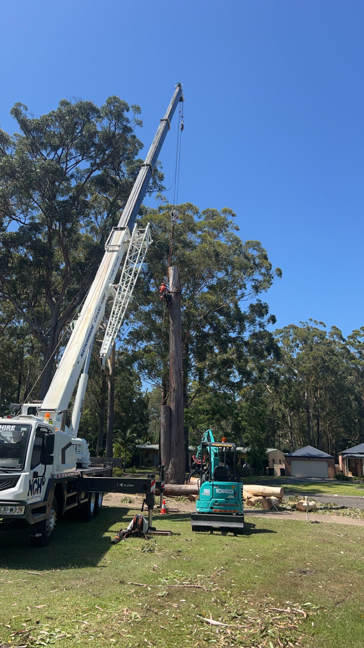 A crane is cutting down a tree in a yard — All One Arb Tree Service In Bonny Hills, NSW