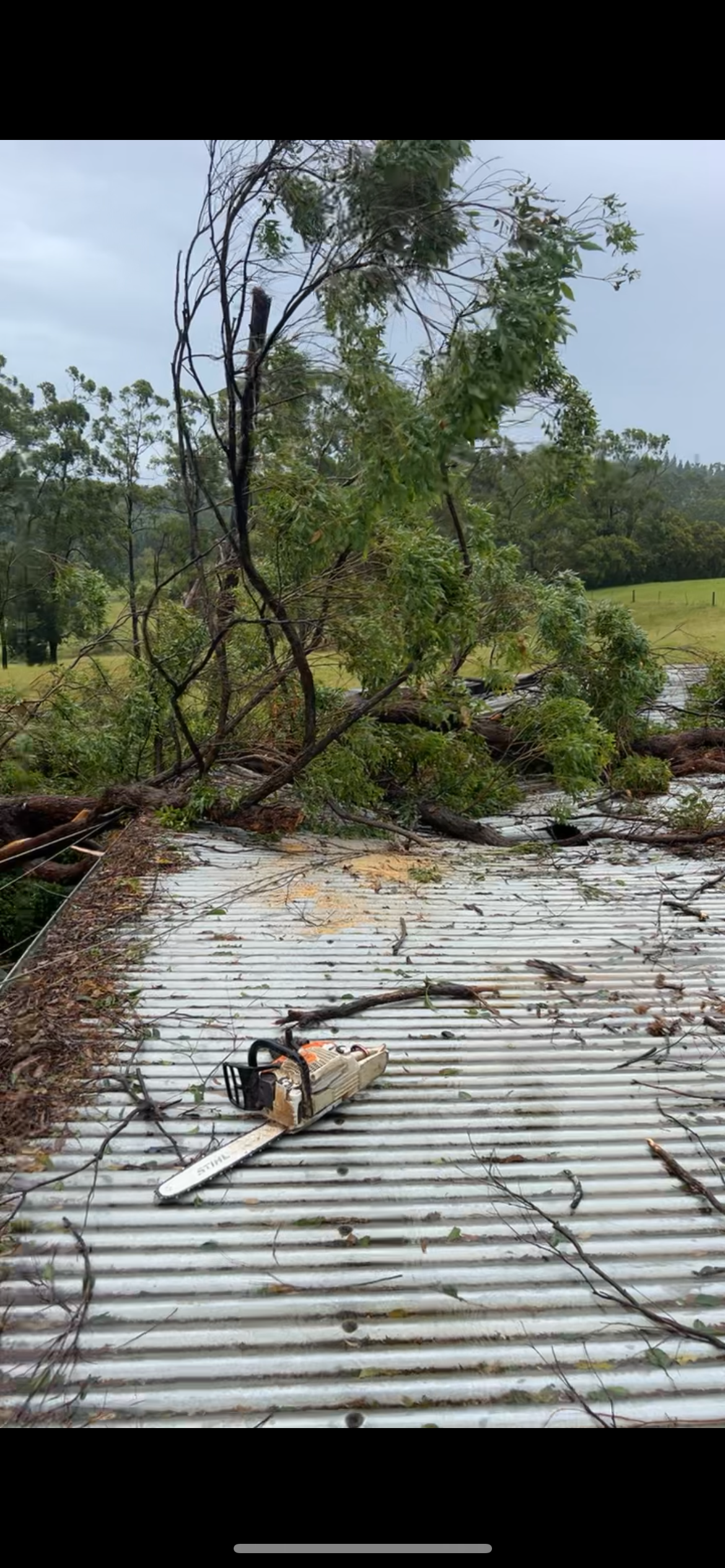 A tree has fallen on a roof with a chainsaw on it — All One Arb Tree Service In Bonny Hills, NSW