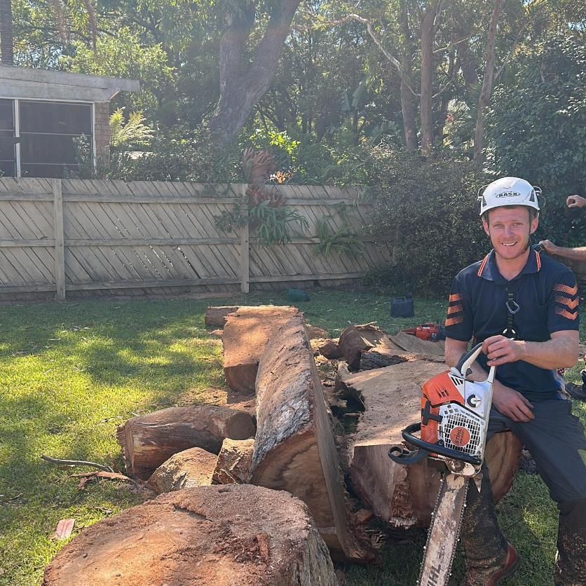 A Man Is Sitting on A Tree Stump with A Chainsaw — All One Arb Tree Service In Bonny Hills, NSW