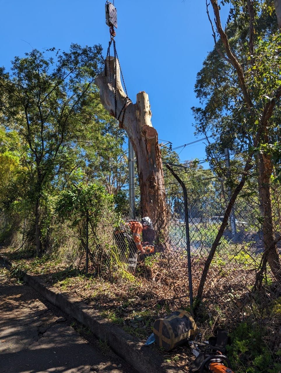 A man is cutting down a tree with a chainsaw — All One Arb Tree Service In Bonny Hills, NSW