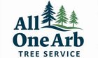 Arborist in the Mid North Coast