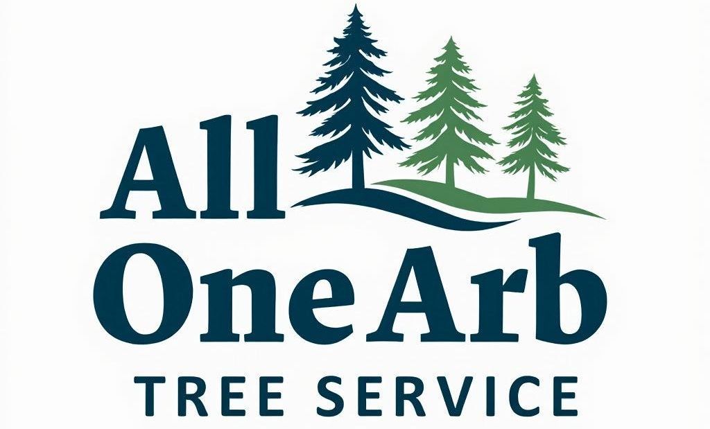 Arborist in the Mid North Coast