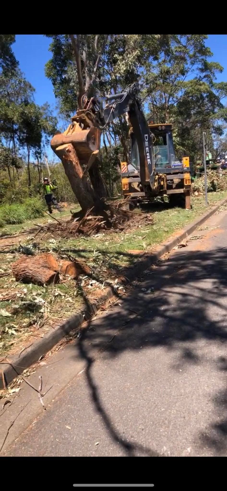 A Bulldozer Is Cutting Down a Tree on The Side of The Road — All One Arb Tree Service In Bonny Hills, NSW