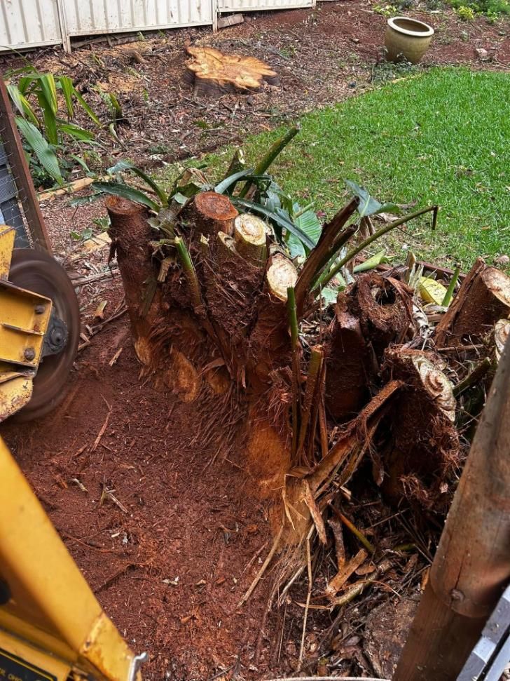 A large tree stump is being removed by a machine in a yard — All One Arb Tree Service In Bonny Hills, NSW