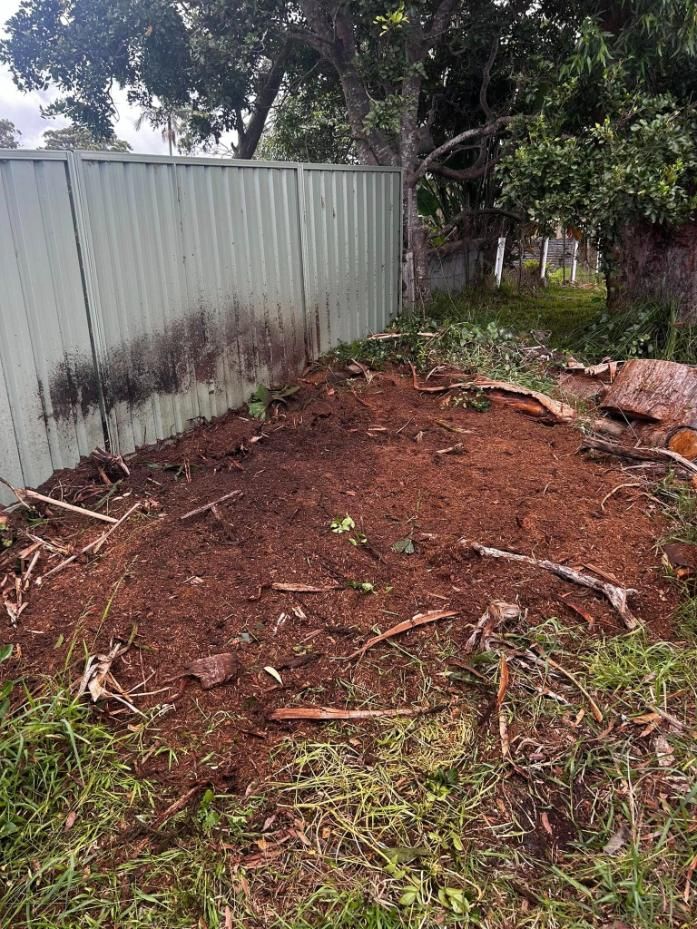 A Person Wearing White Gloves Is Picking up Wood Chips from The Ground — All One Arb Tree Service In Bonny Hills, NSW