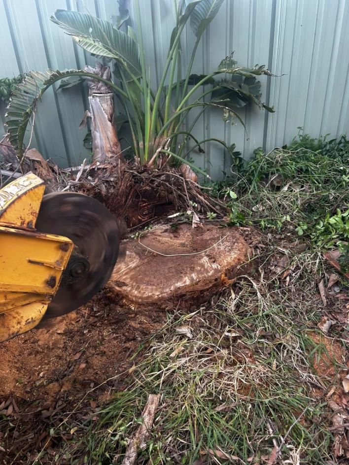 A Tree Stump Is Being Removed by A Stump Grinder — All One Arb Tree Service In Bonny Hills, NSW