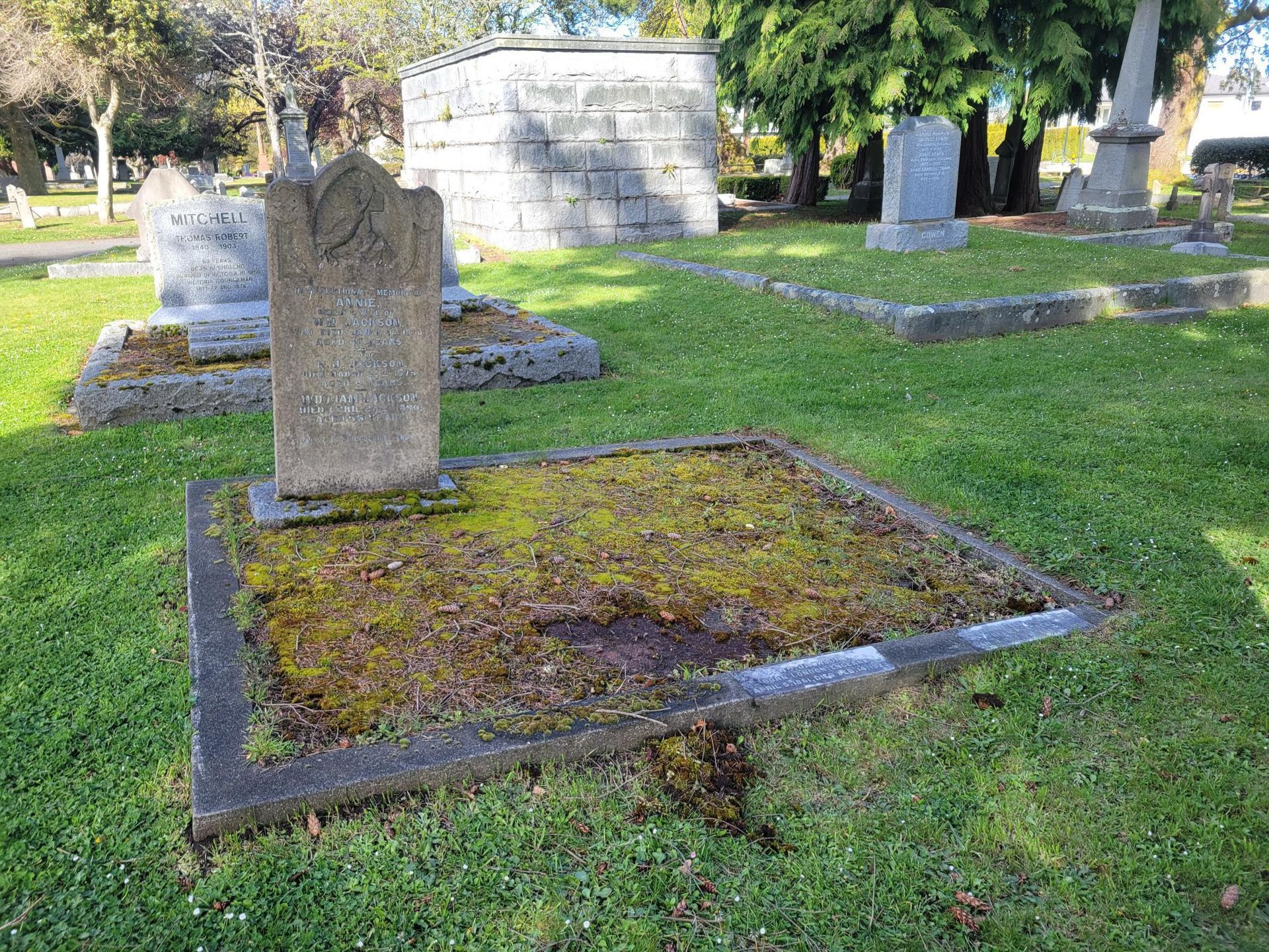a grave in a cemetery with moss growing on it .
