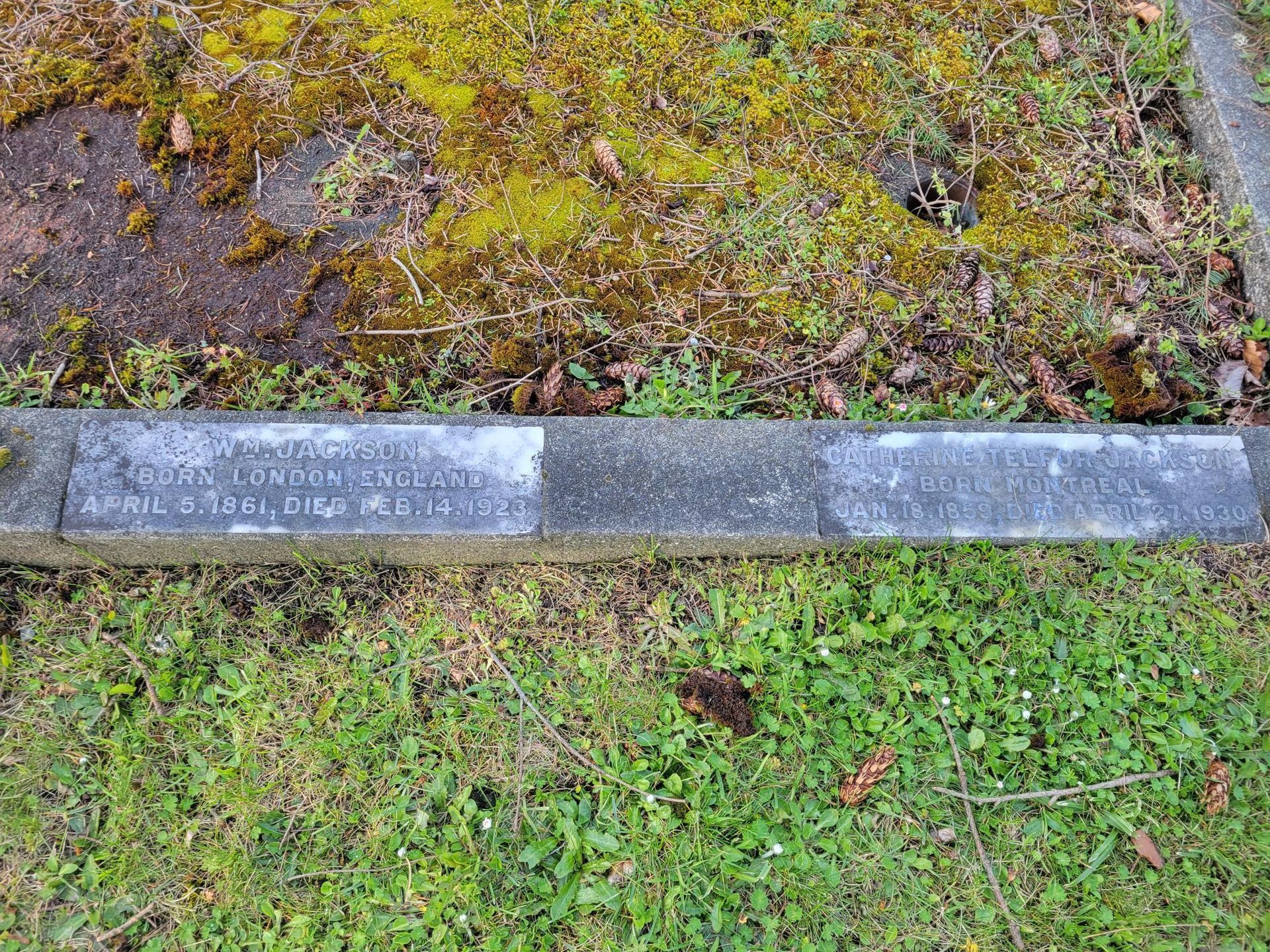 a gravestone in a cemetery with moss growing on it .