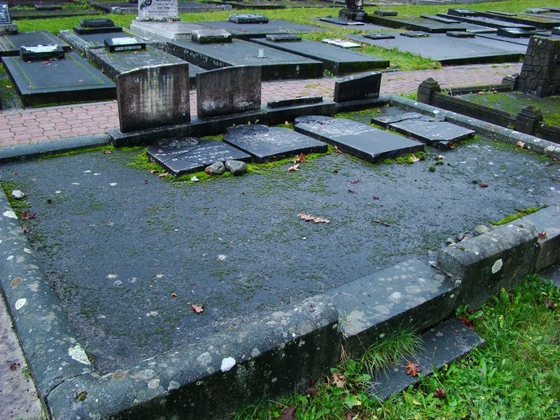 a graveyard with a lot of graves and moss on the ground