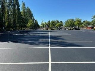 An empty parking lot with trees in the background