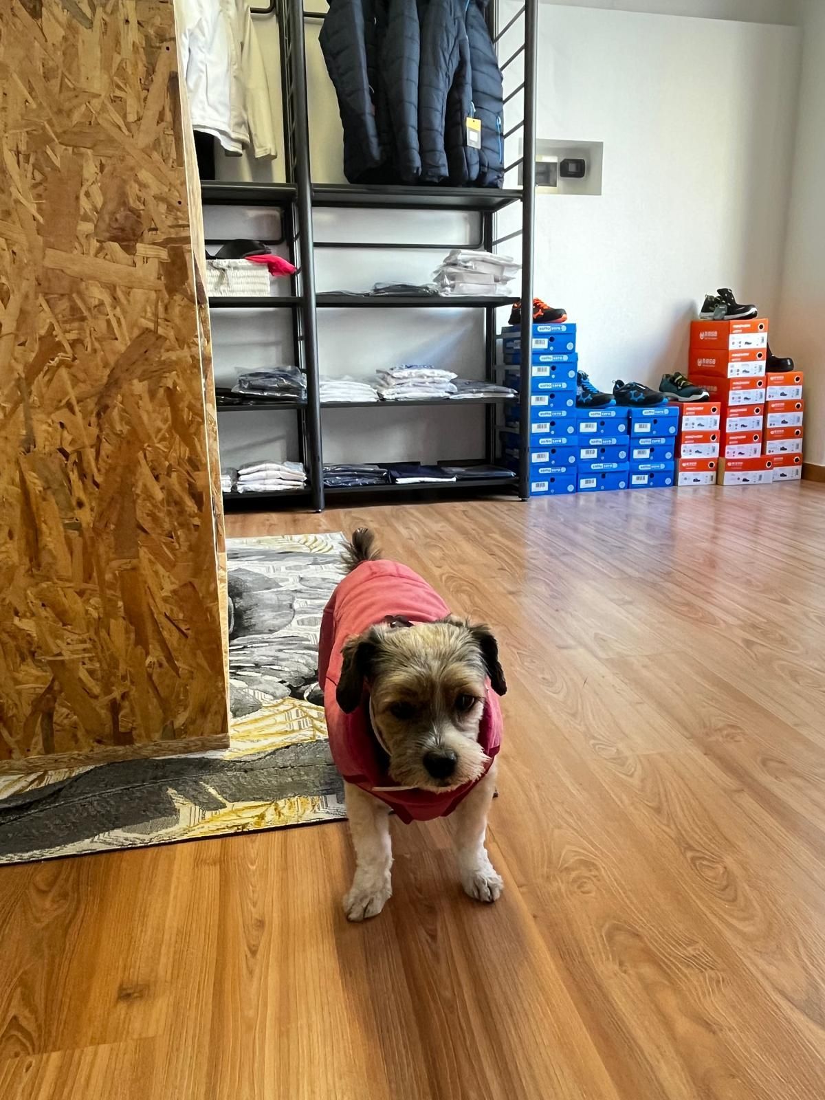 Interni Nora Divise Lavoro