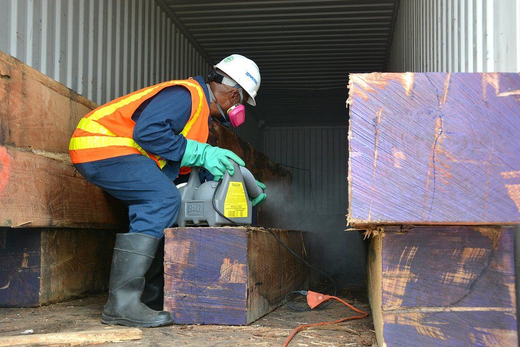 image of bed bug chemical treatment