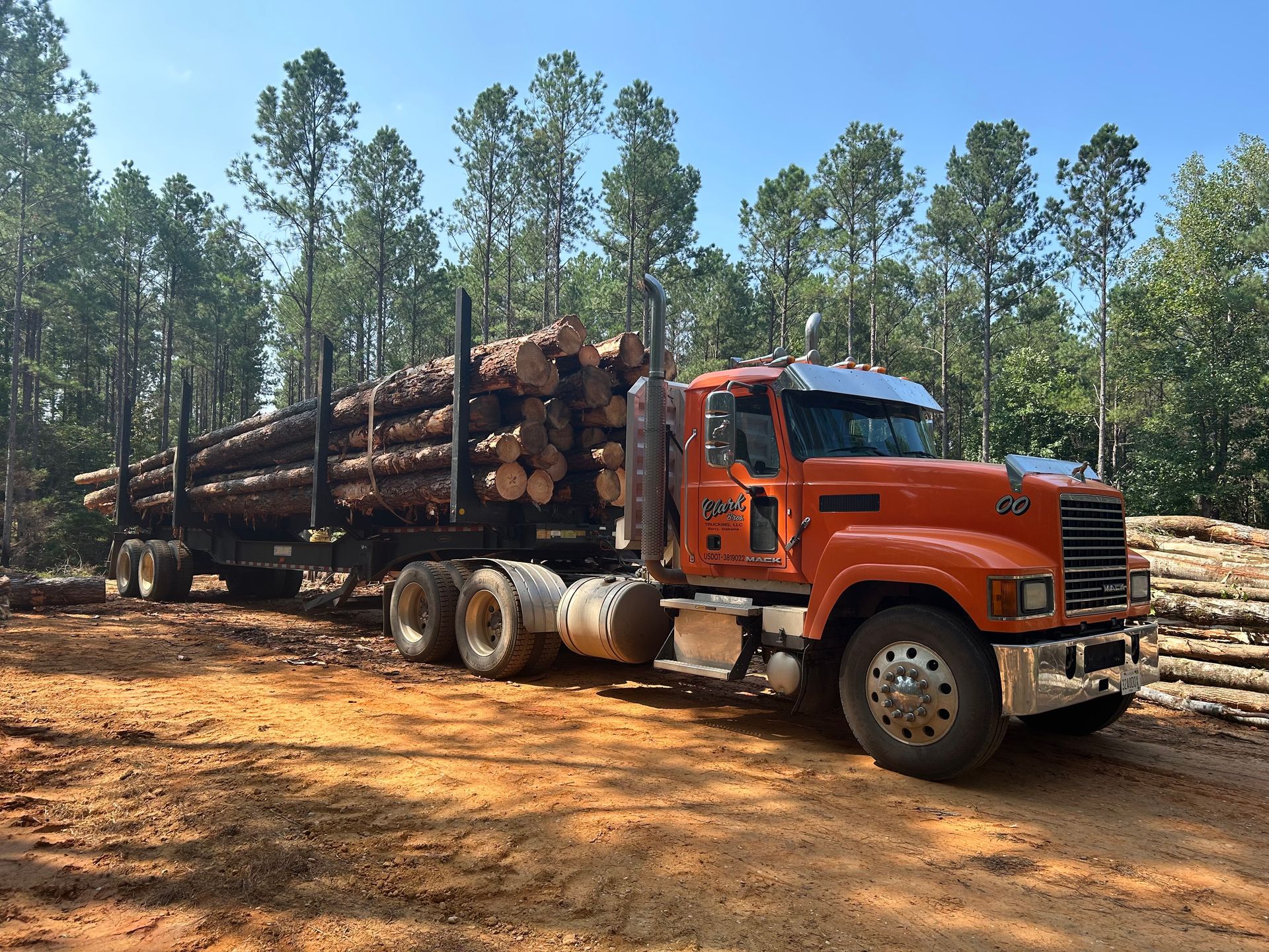 Orange logging truck loaded with logs parked in a forest on a sunny day.