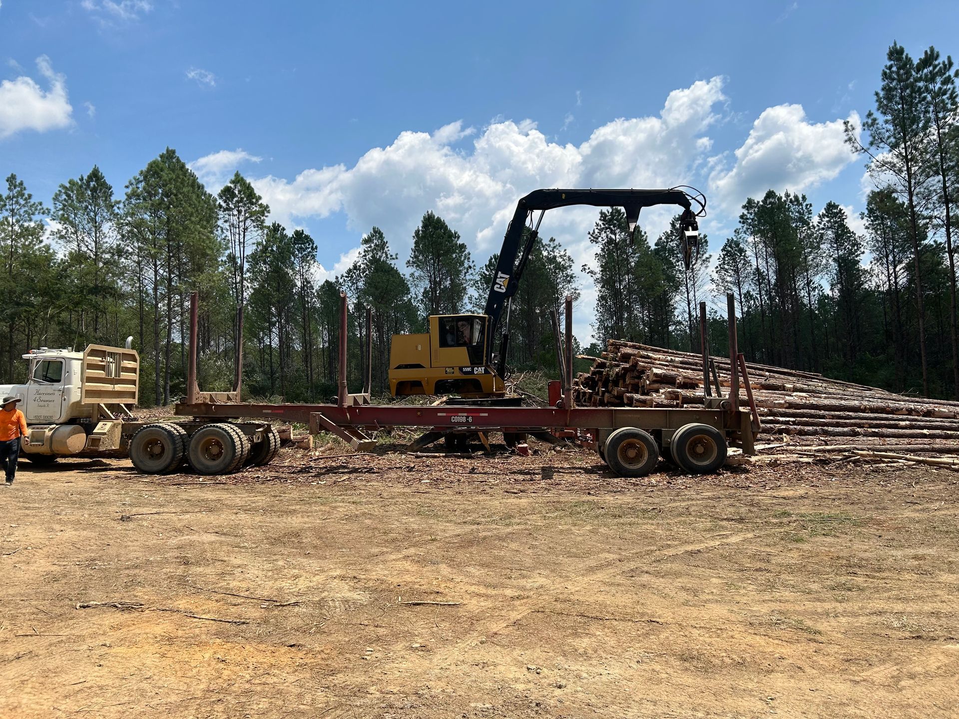 Logging equipment loading logs onto a trailer in a forest clearing on a sunny day.