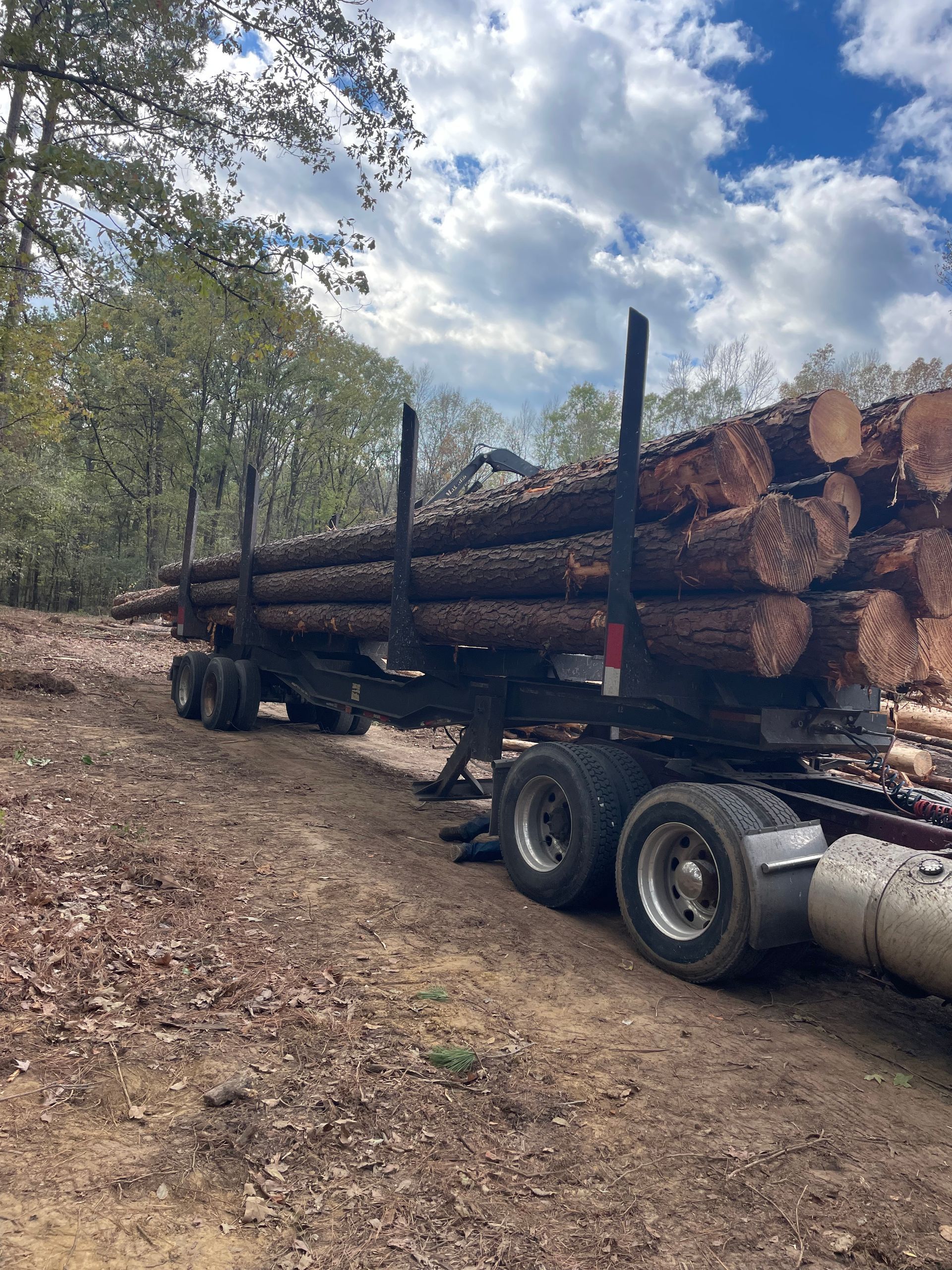 Log truck loaded with timber on a dirt road in a wooded area, under a partly cloudy sky.
