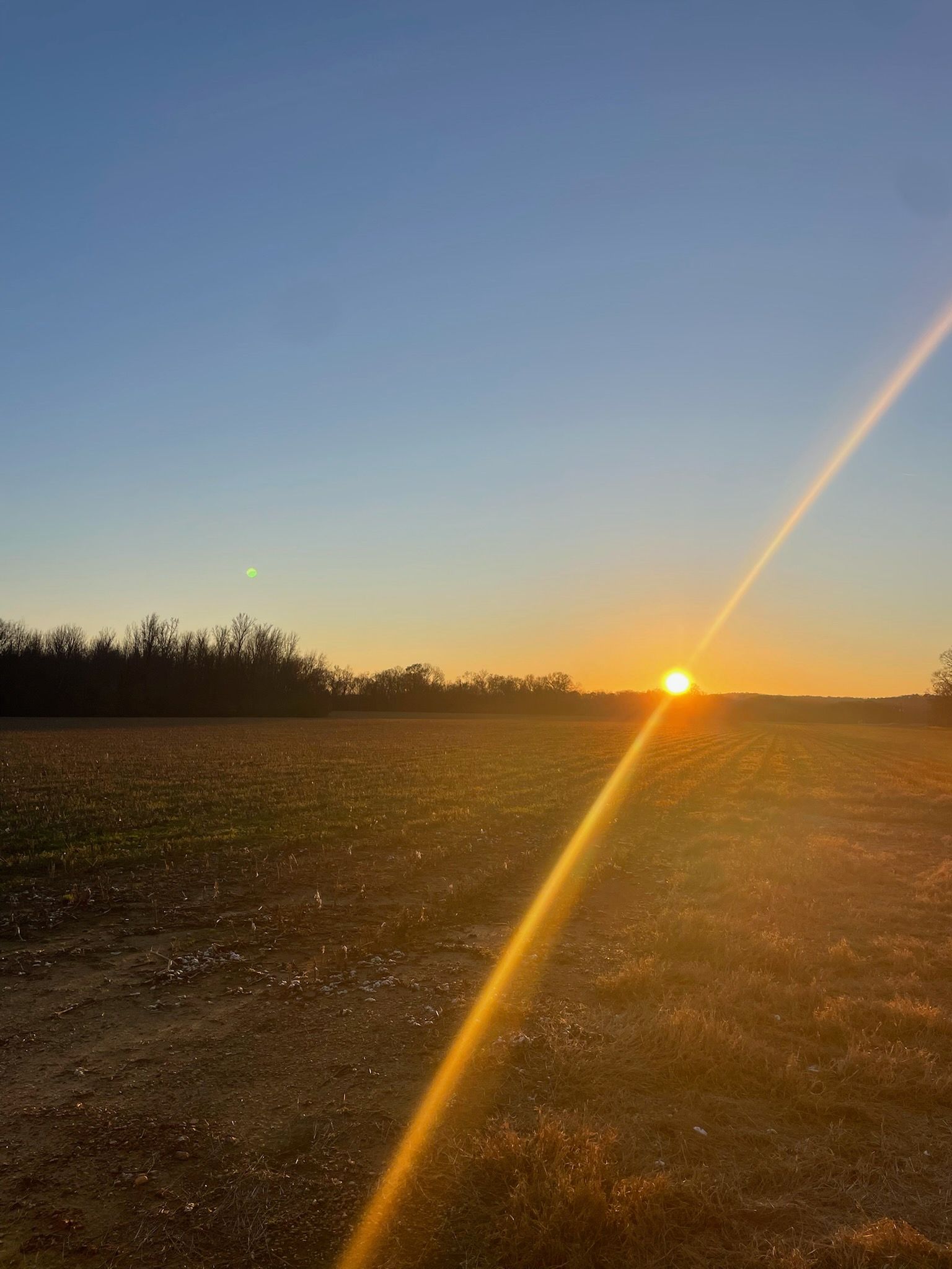 Sunset over a field; golden sunlight streaks across the landscape, silhouetting trees under a blue sky.