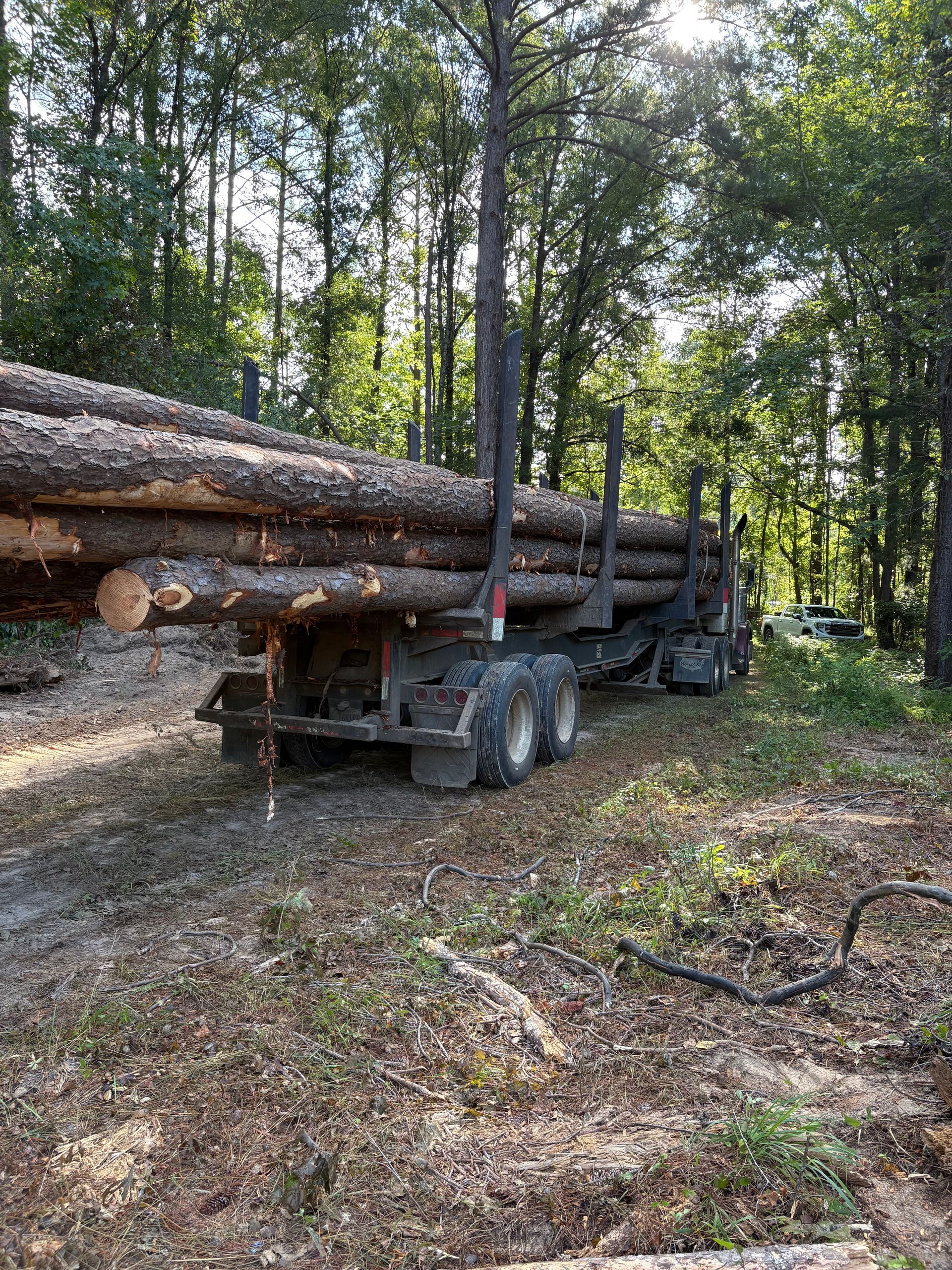 A logging truck loaded with logs in a forest setting.