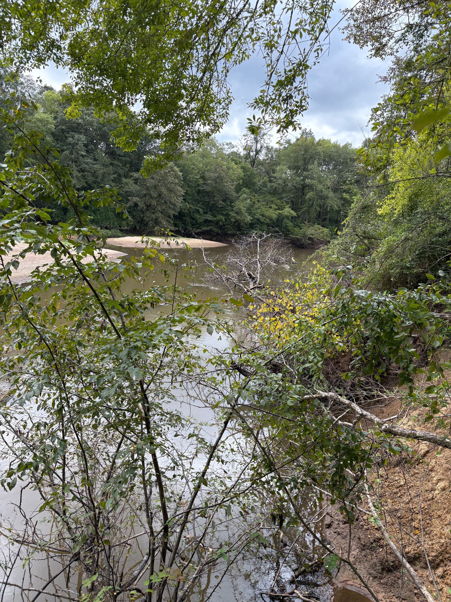 A murky river surrounded by green trees and foliage under a cloudy sky.