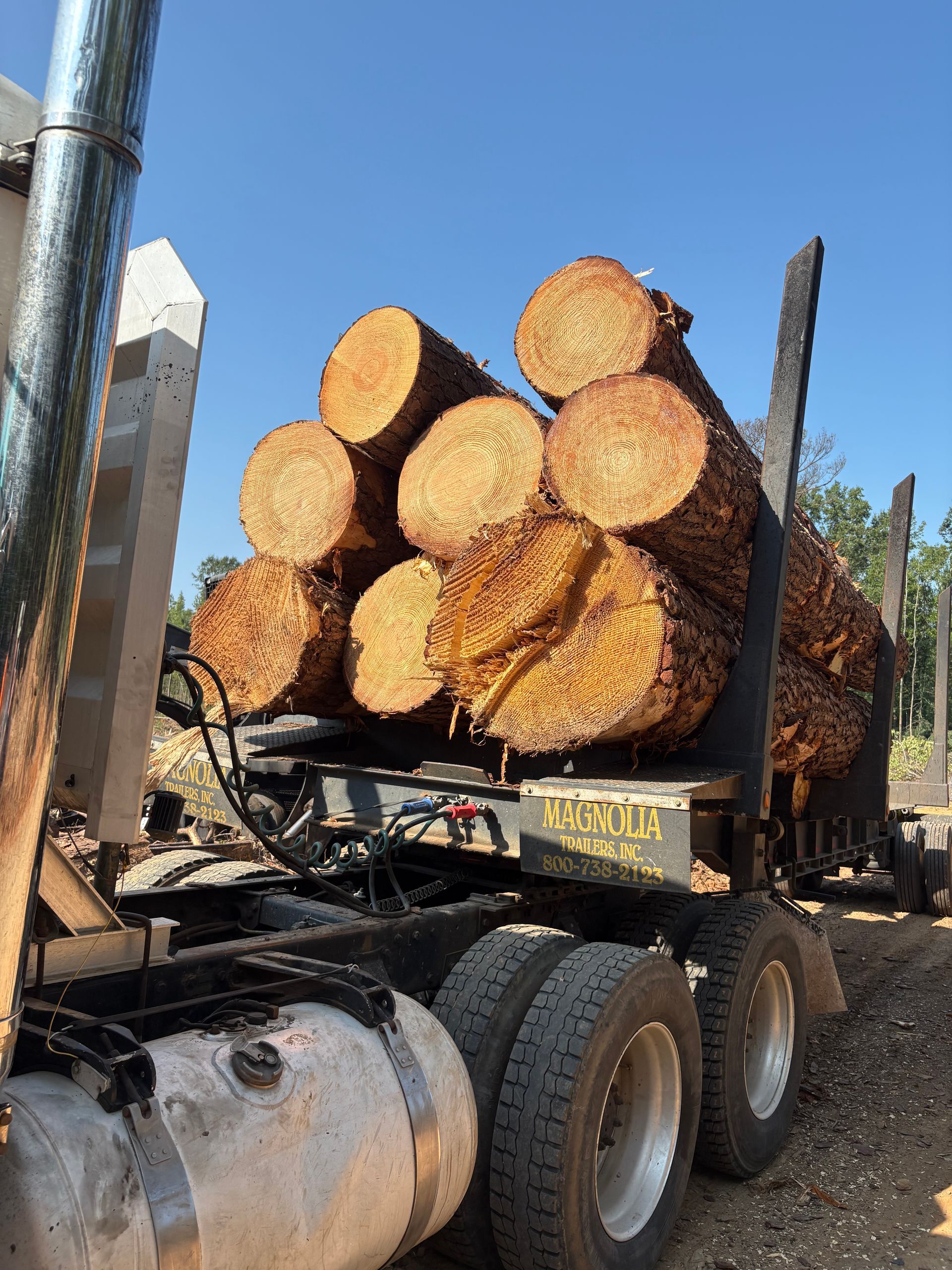 Logs stacked on a logging truck under a blue sky.