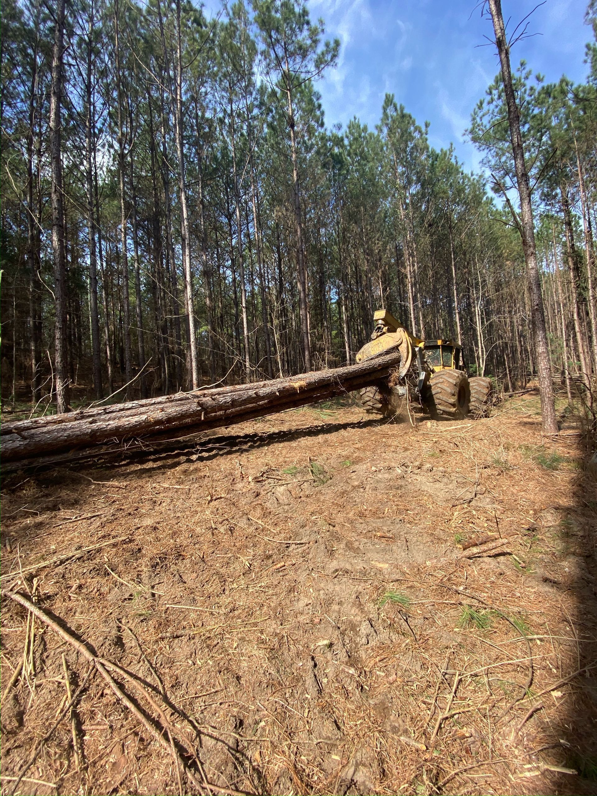 Yellow bulldozer moving felled logs in a forest clearing.