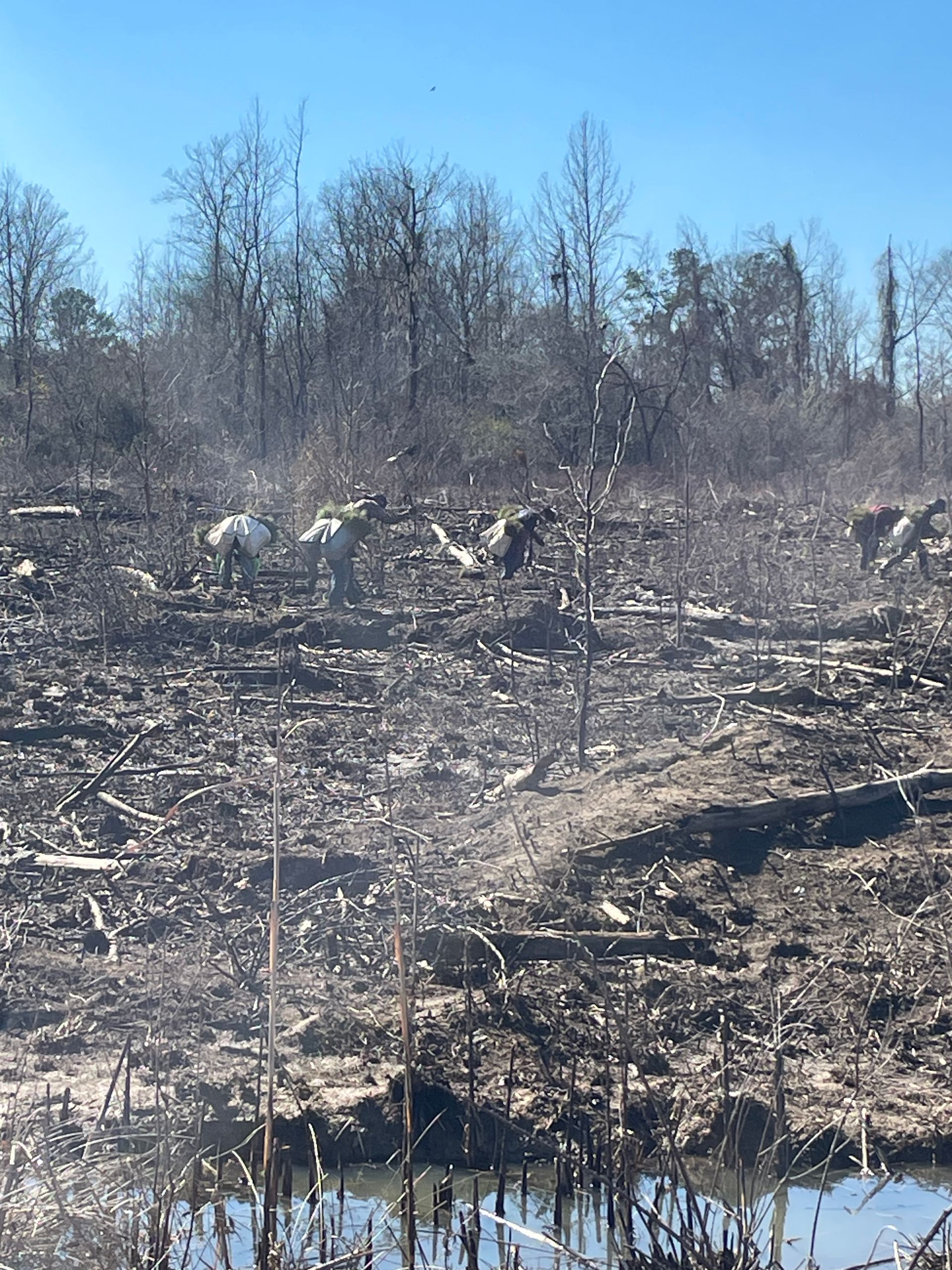 A charred landscape with debris under a blue sky, possibly after a fire.