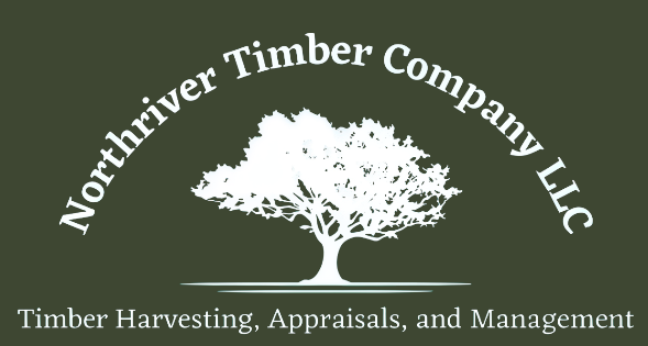 Logo for Northriver Timber Company LLC: white tree silhouette, green background, white text.