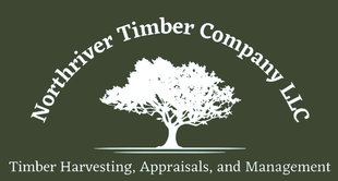 Logo for Northriver Timber Company LLC: white tree silhouette, green background, white text.