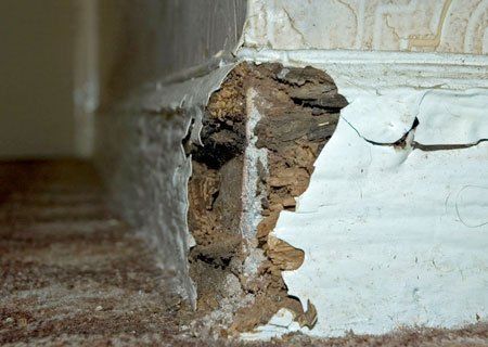 Contact us for dry rot treatments in Huddersfield