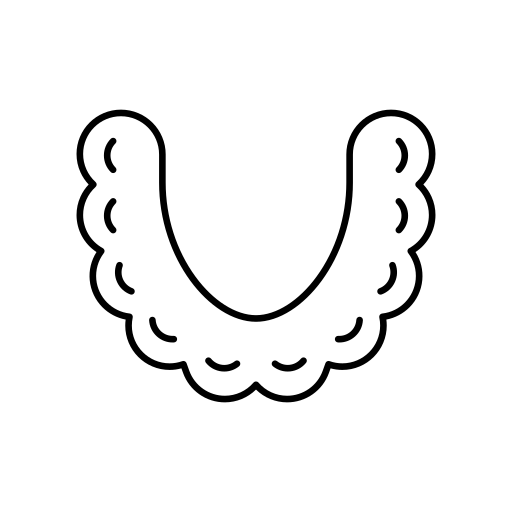 Contour festonné d'un col, éventuellement pour un vêtement ou un élément de design.