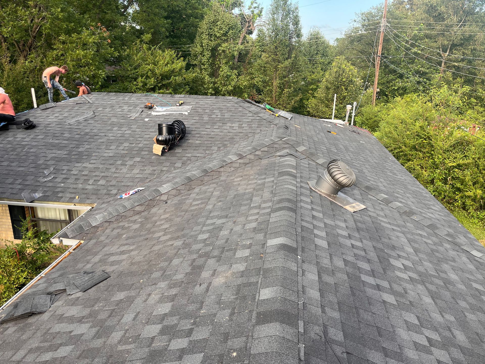 gray shingle roof