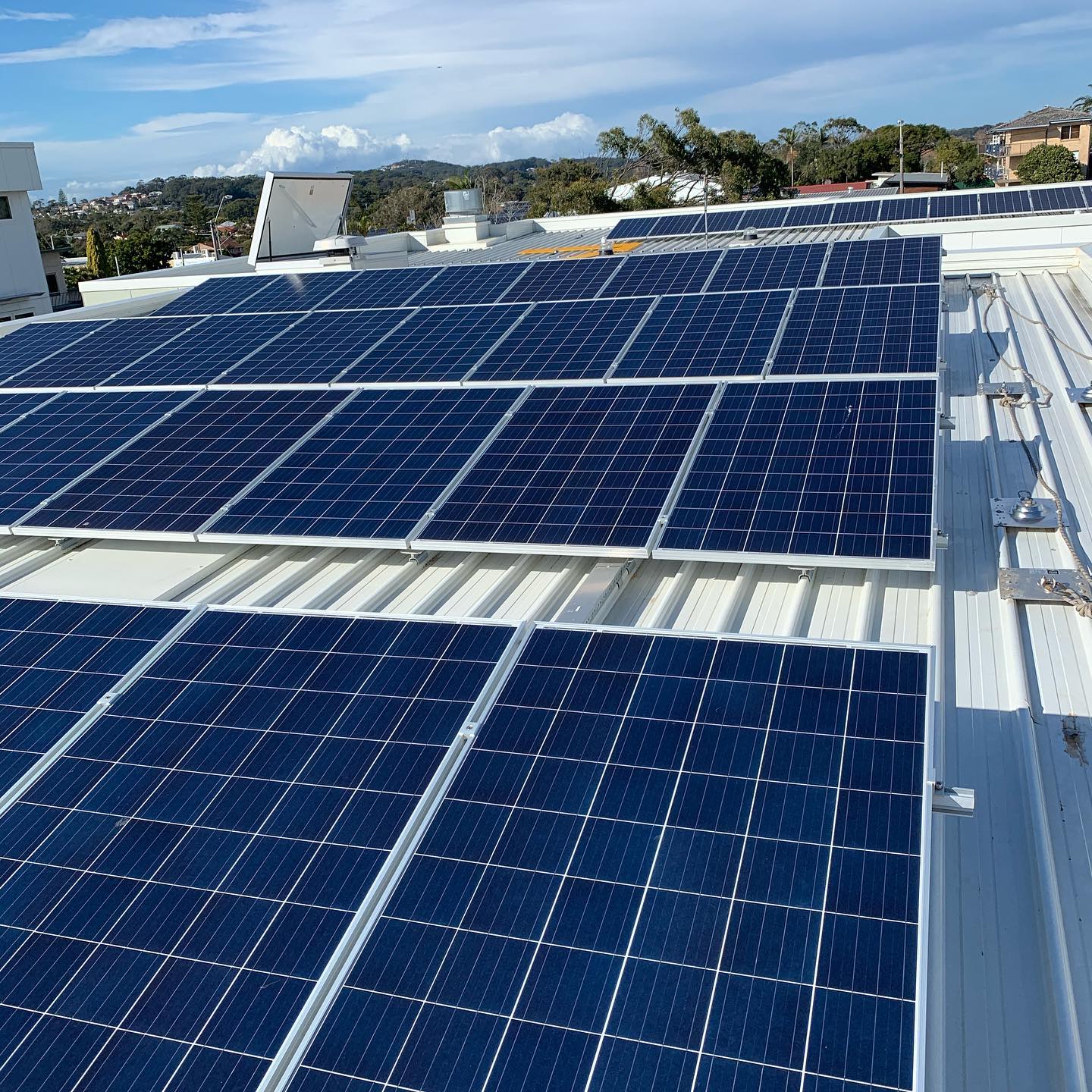 freshly cleaned solar panels