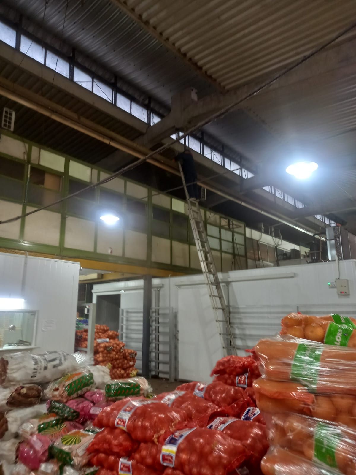 Ahuyentamiento de palomas