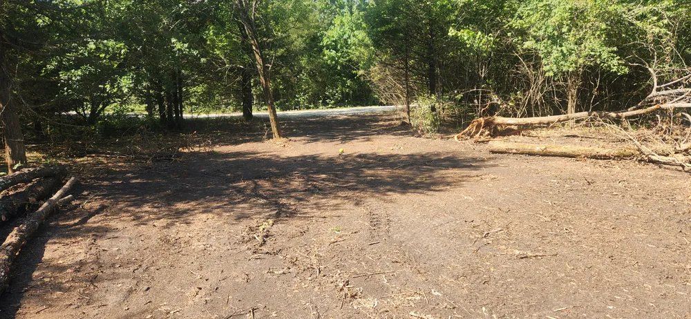 A dirt road in the middle of a forest surrounded by trees.