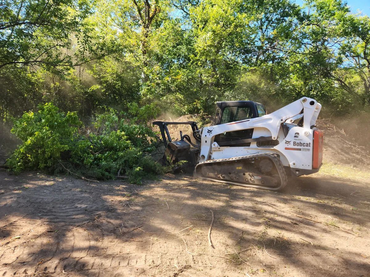 A bulldozer is cutting down trees in a dirt field.