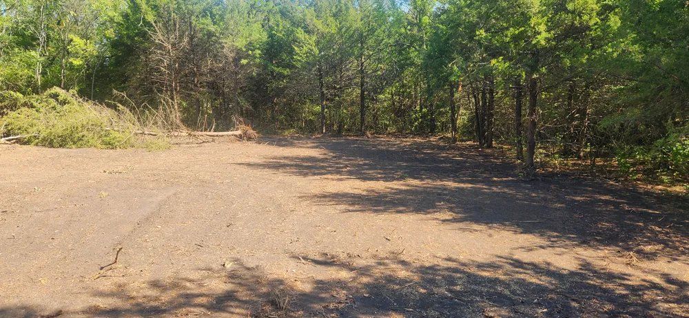 A dirt road in the middle of a forest with trees on both sides.