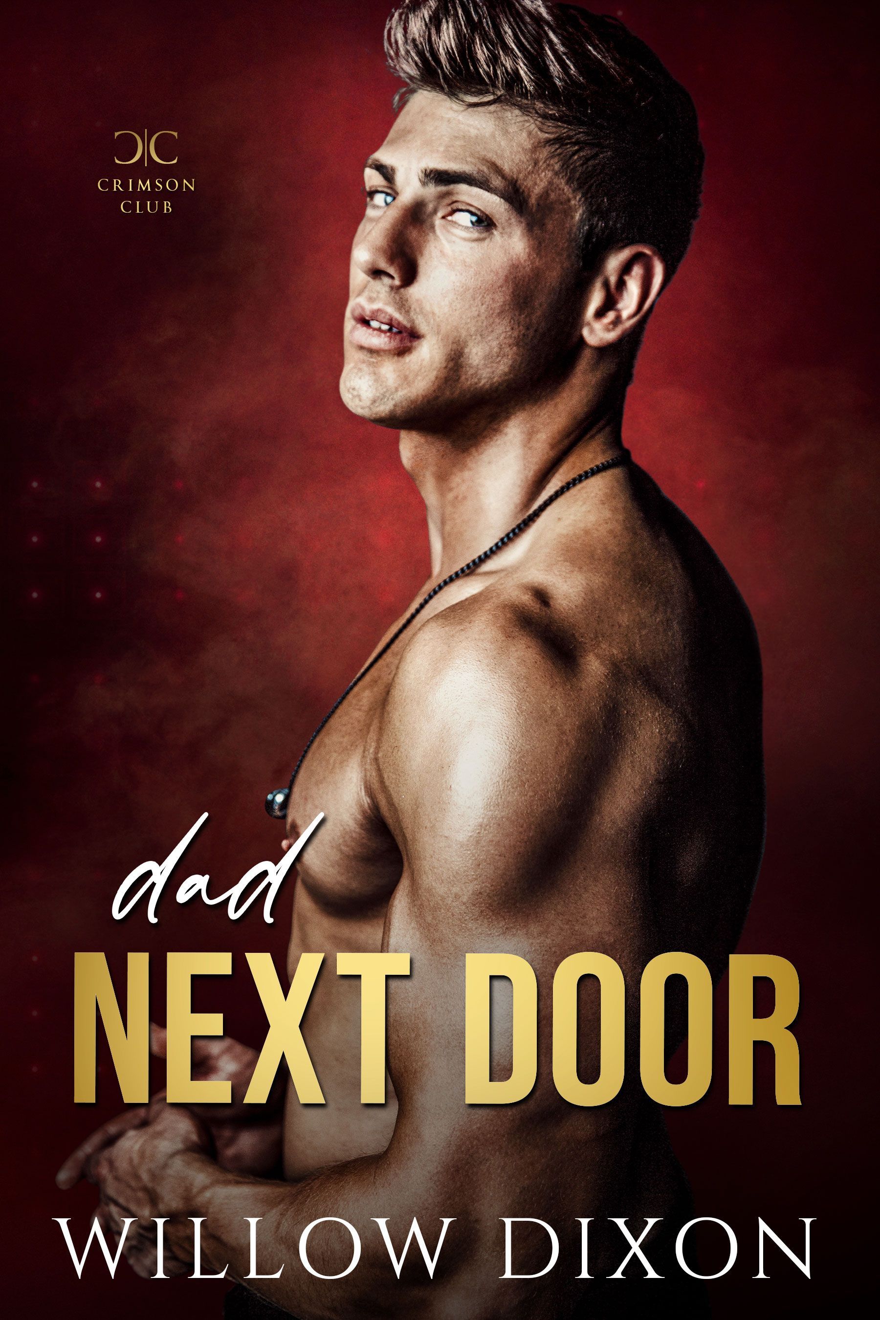 A shirtless man is on the cover of a book called dad next door by willow dixon.