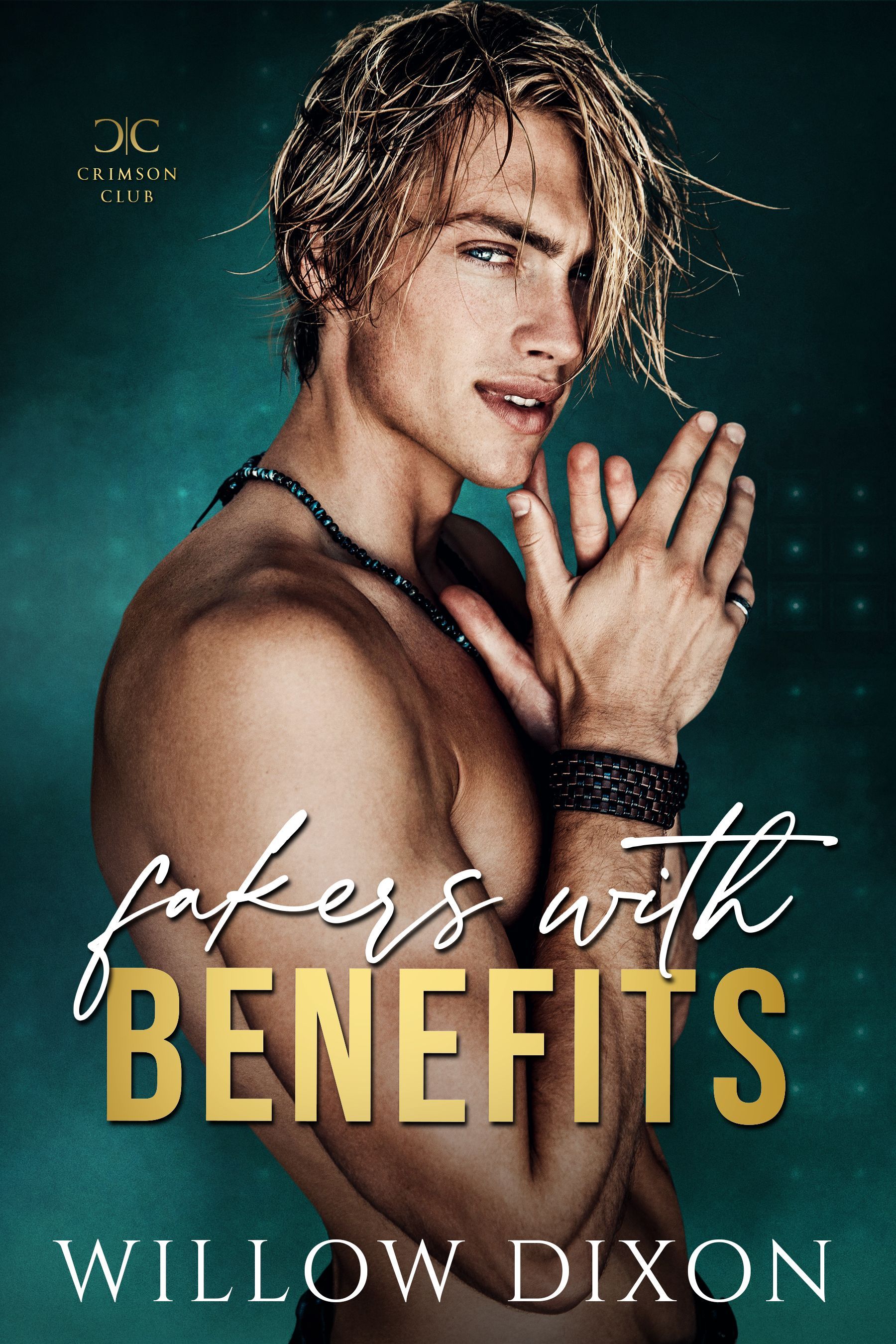 A book called fakers with benefits by willow dixon