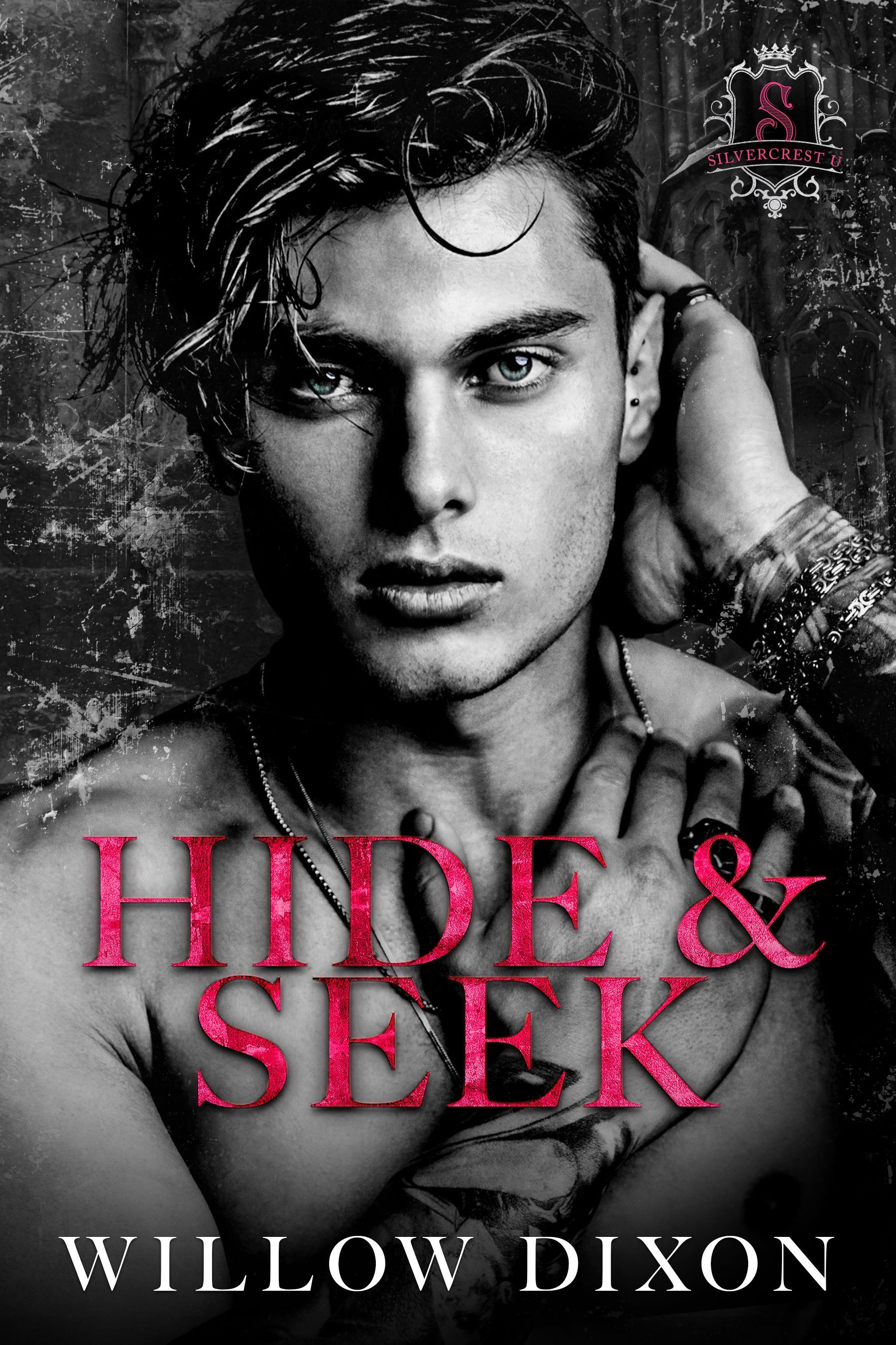 A spicy, strangers to lovers, opposites attract, dark M/M romance book.