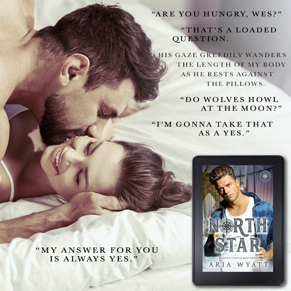 NORTH STAR (Compass #2) by Aria Wyatt | Cover & Excerpt Reveal