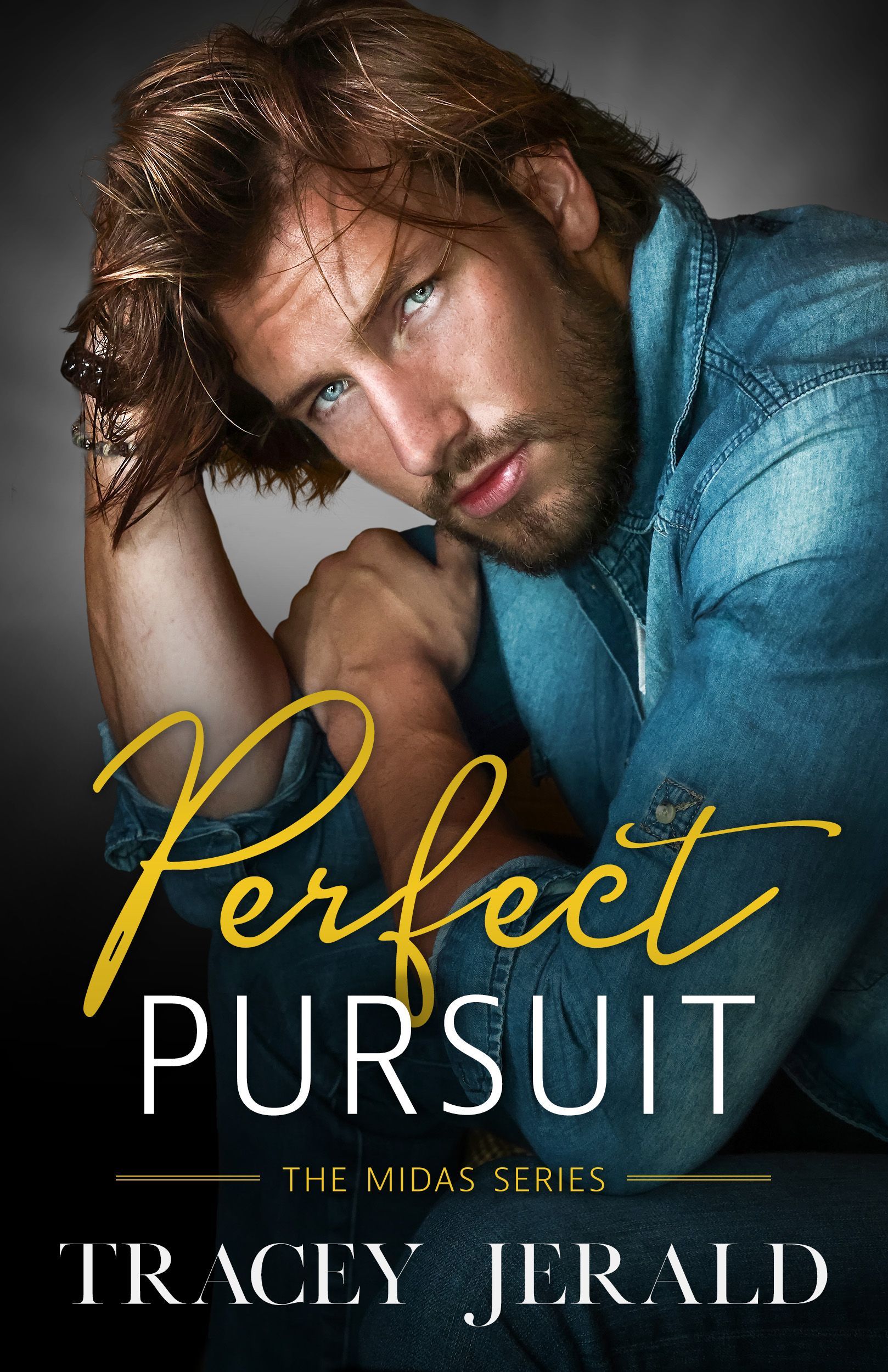 The cover of the book Perfect Pursuit by Tracey Jerald.