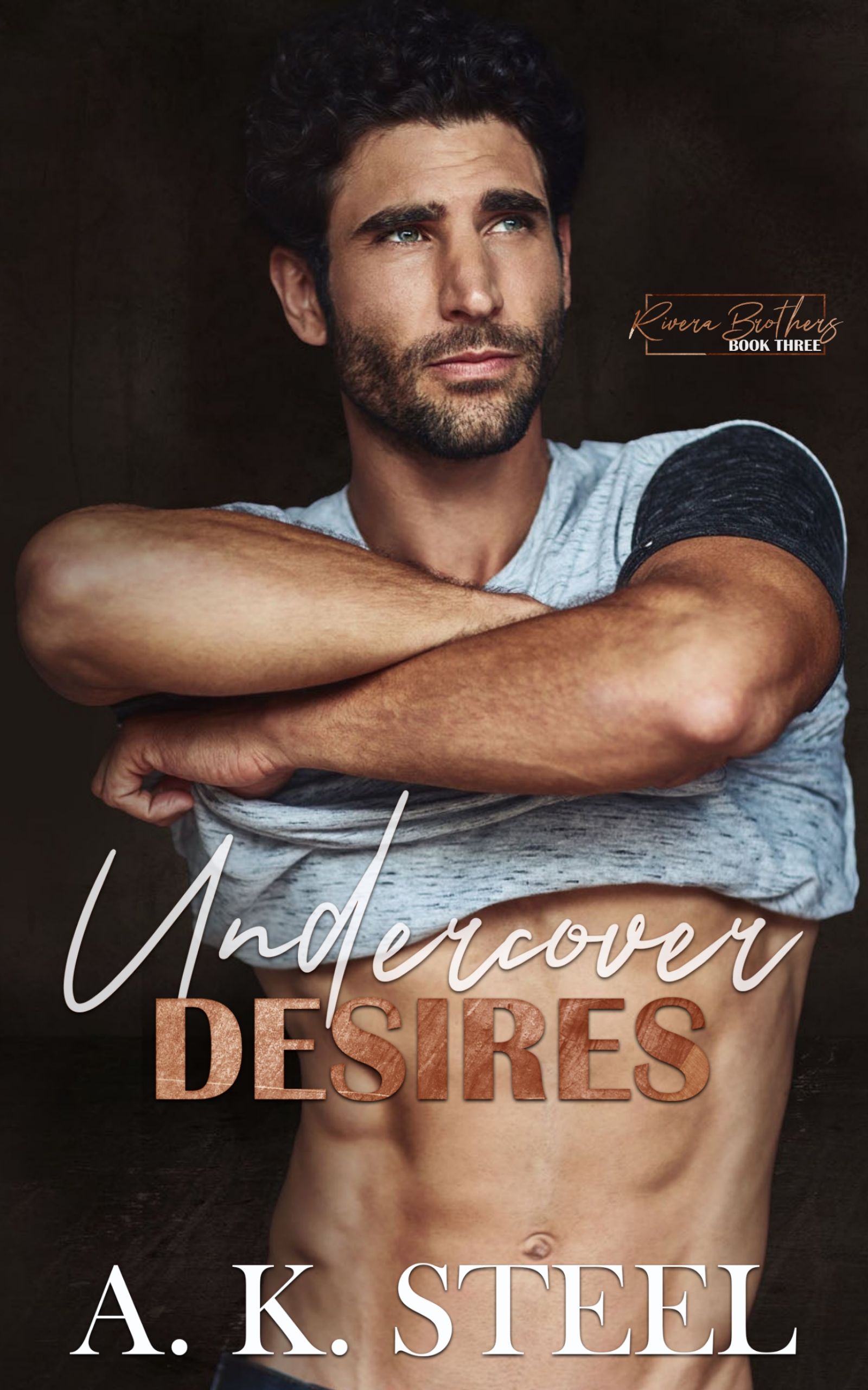 a shirtless man is on the cover of undercover desires by a.k. steel