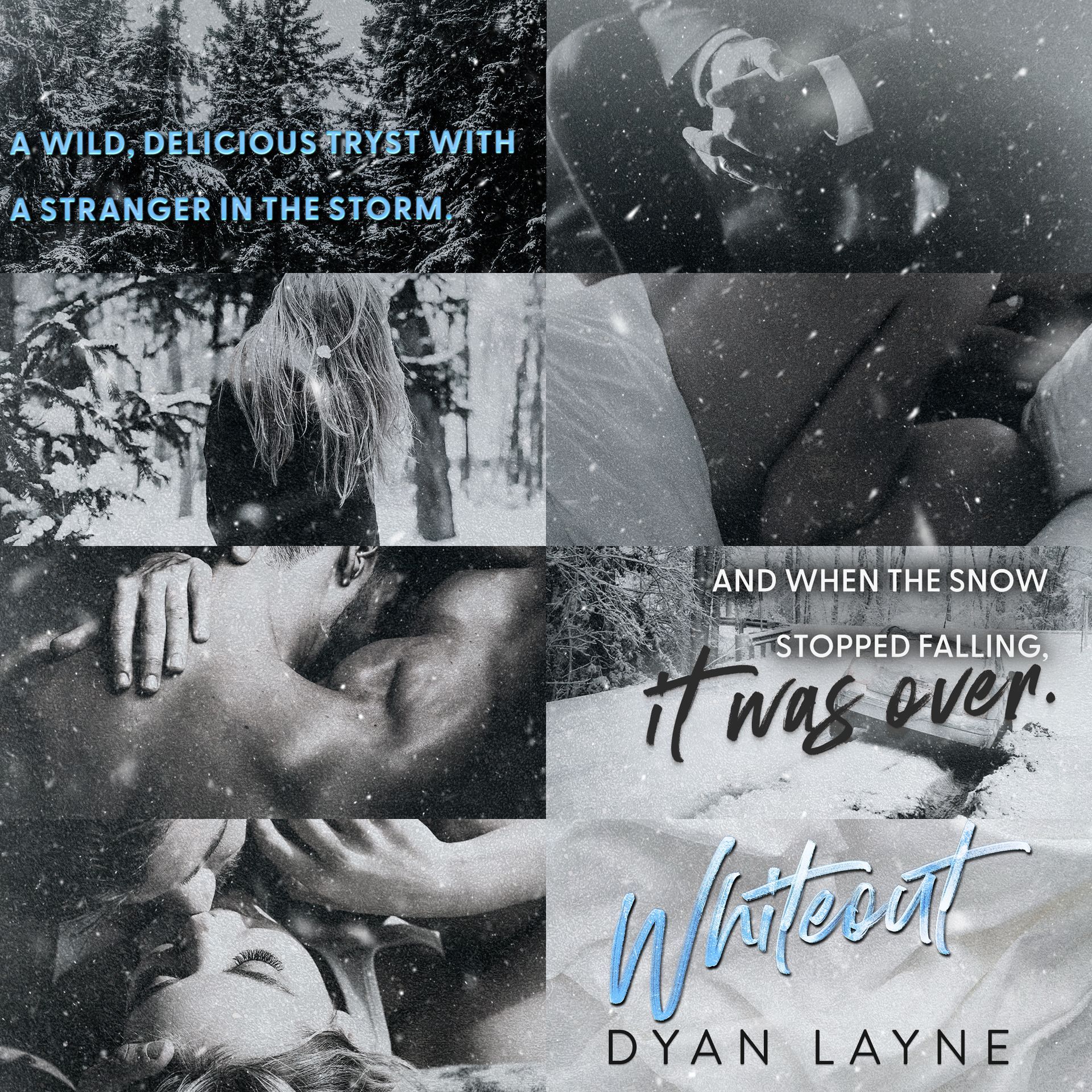 A poster for a book called whiteout by dyan layne