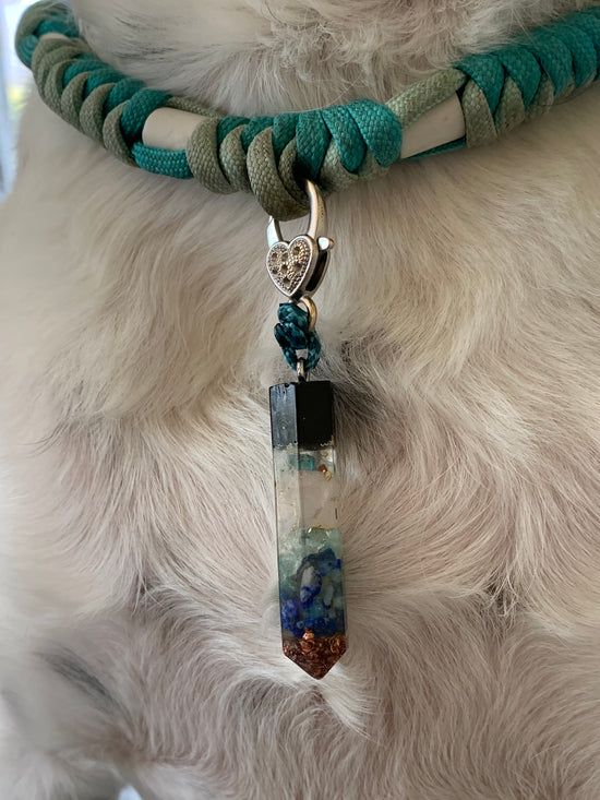 Een close-up van een hond met een halsband met een orgonite-hanger eraan.