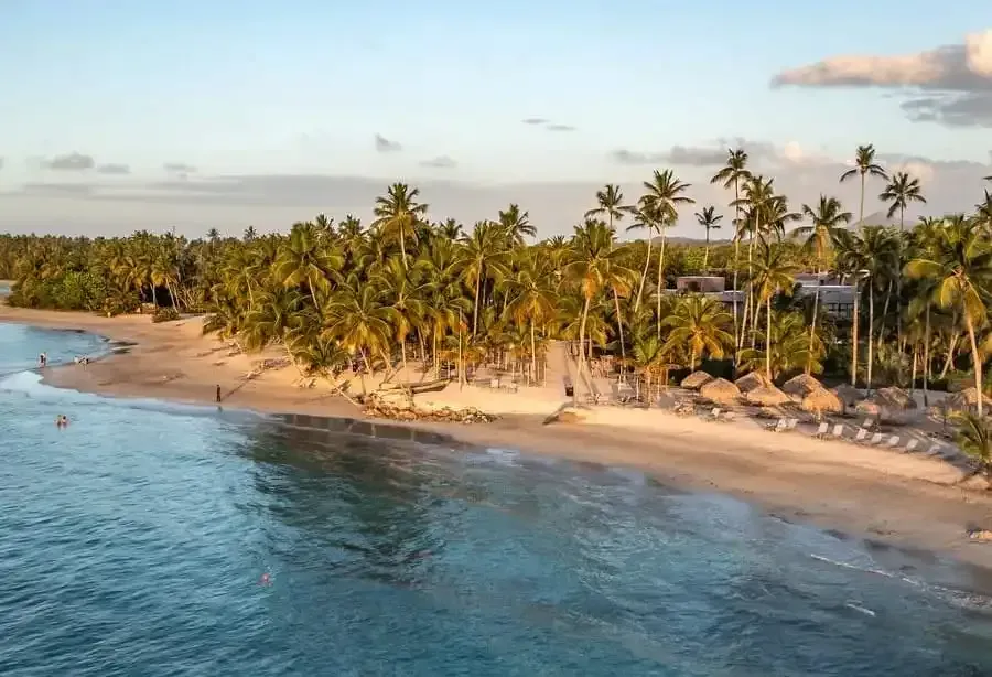 Beach with palm trees, blue ocean, and golden sand under a sunny sky.